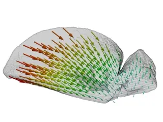 3D Deformation Field